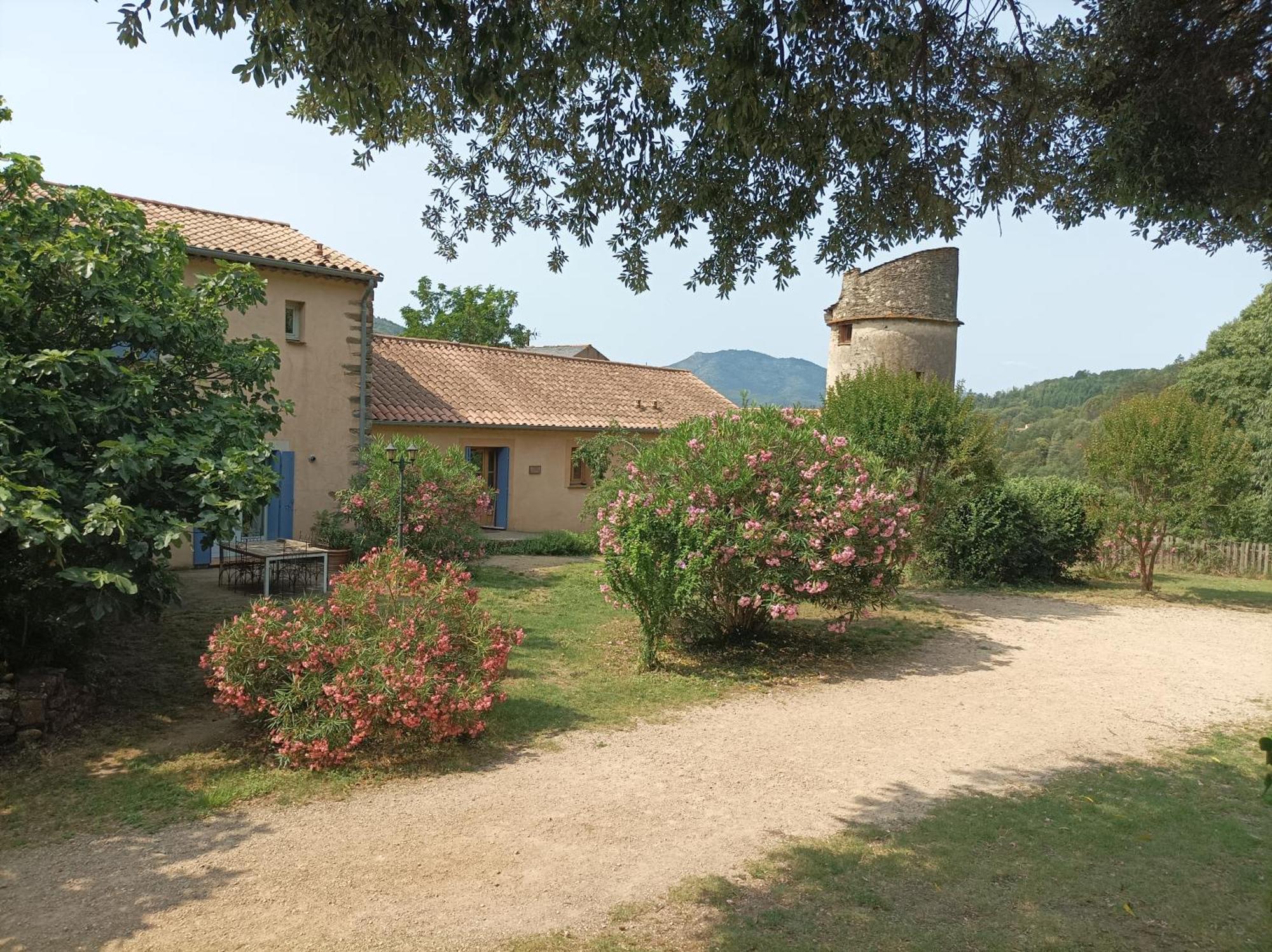 Chateau De Colombieres Sur Orb エクステリア 写真